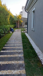 Bahçe Düzenleme
